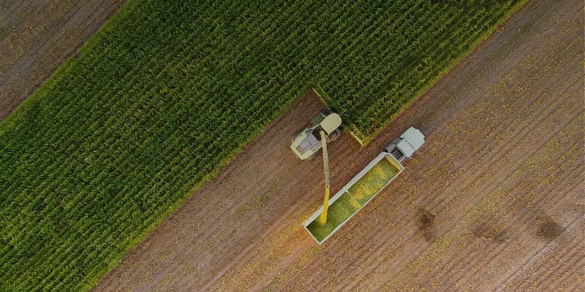 Landwirtschaft
